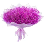 Гипсофилы розовые